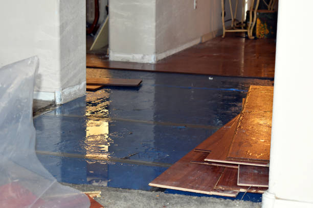 Professional Basement Flood Cleanup technician working in New Sharon, IA
